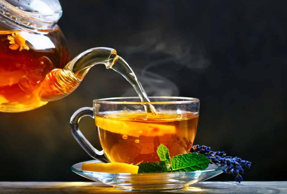 Natural fat burners and metabolism support ingredients for health conscious seniors