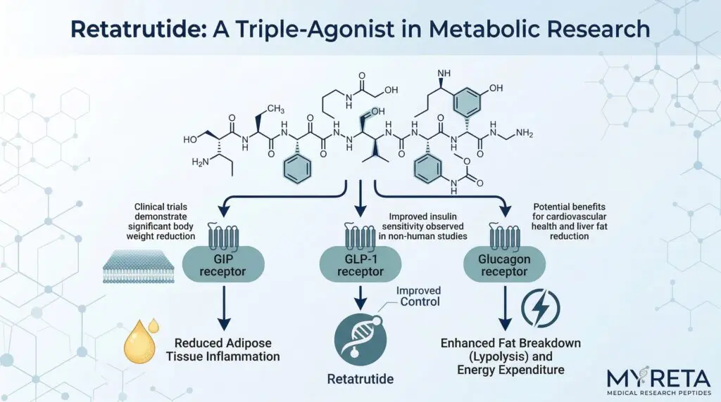 Scientific representation of retatrutide uk molecules for weight loss research
